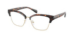 3006 - Dark Tortoise / Demo Lens