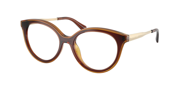 3113 - Dark Brown / Demo Lens