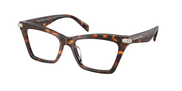 4031 - Luggage Tortoise / Demo Lens