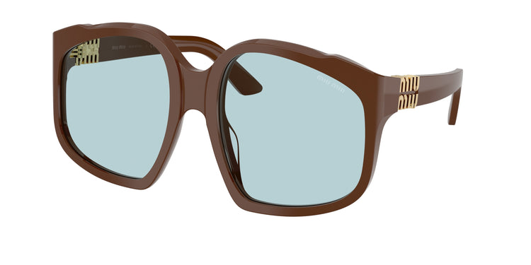 24D20R - Chocolate / Light Blue