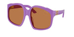 25D90Q - Violet / Brown