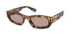 14L20I - Honey Havana / Light Purple Brown