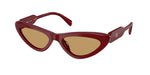 21I10Y - Opal Burgundy / Brown