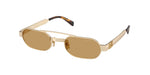 22M10Y - Ancient Gold / Brown