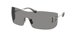 1BC81A - Silver / Dark Grey