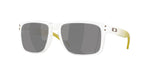 9102AP - Matte Clear / Prizm Black Polarized