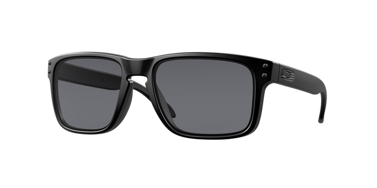 Oakley 0OO9102 HOLBROOK