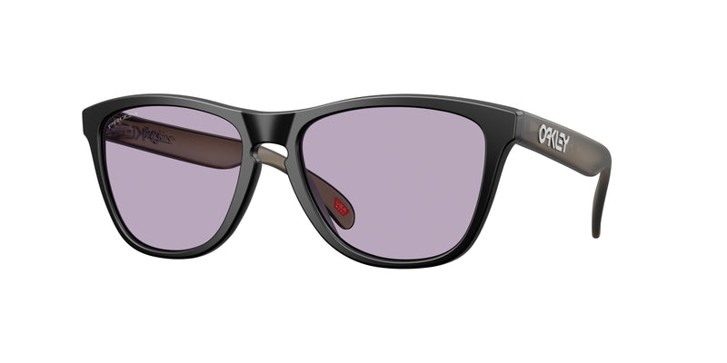 9245E5 - Matte Black / Prizm Slate