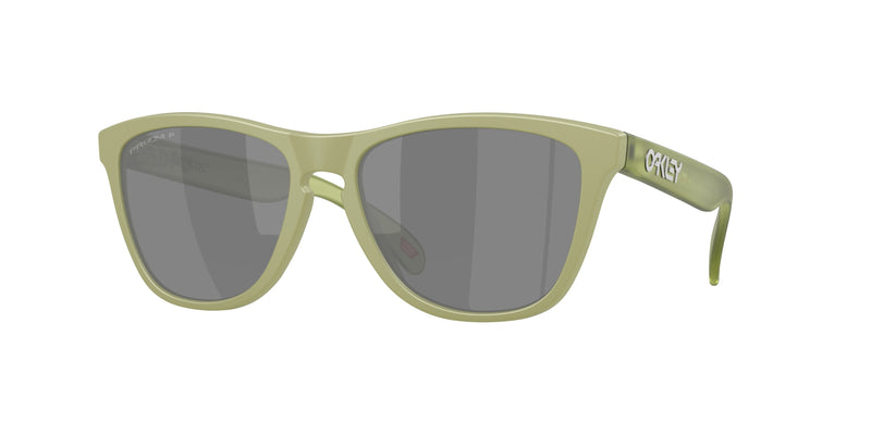 9245E9 - Matte Fern / Prizm Black Polarized