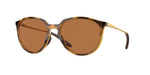 928803 - Polished Brown Tortoise / Prizm Bronze Polarized