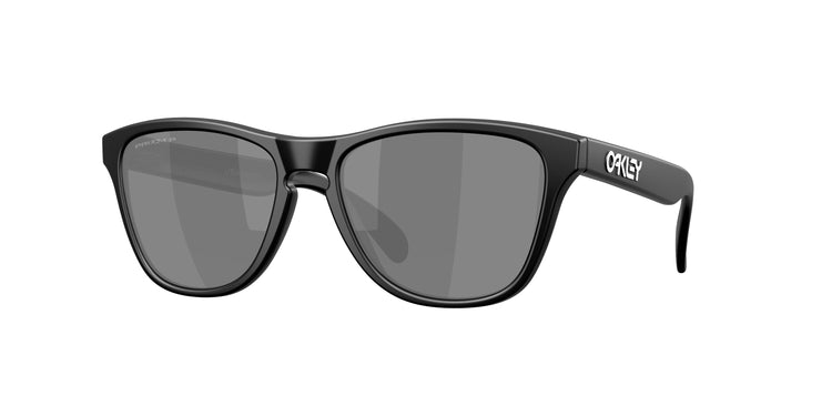 950806 - Matte Black / Prizm Black Polarized