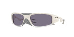 952902 - Matte Mist / Prizm Grey