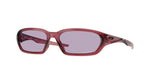 953010 - Transparent Iron Red / Prizm Slate