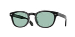 1731 - Black / Demo Lens Sea Green Wash