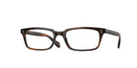 1724 - Tuscany Tortoise / Demo Lens