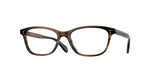1724 - Tuscany Tortoise / Transparent