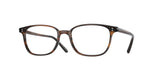 1724 - Tuscany Tortoise / Transparent