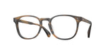 1318 - Moss Tortoise / Demo Lens
