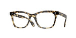 1550 - Hickory Tortoise / Demo Lens