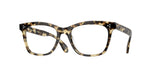 1550 - Hickory Tortoise / Demo Lens