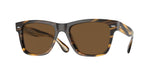 100357 - Cocobolo / True Polarized Brown