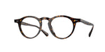 1741 - Atago Tortoise / Transparent