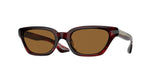 167553 - Bordeaux Bark / True Brown
