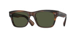172452 - Tuscany Tortoise / G-15