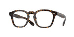 1741 - Atago Tortoise / Transparent