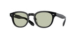 1731 - Black / Demo Lens Green Wash