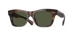 172452 - Tuscany Tortoise / G-15