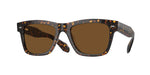 174157 - Atago Tortoise / True Brown Polar