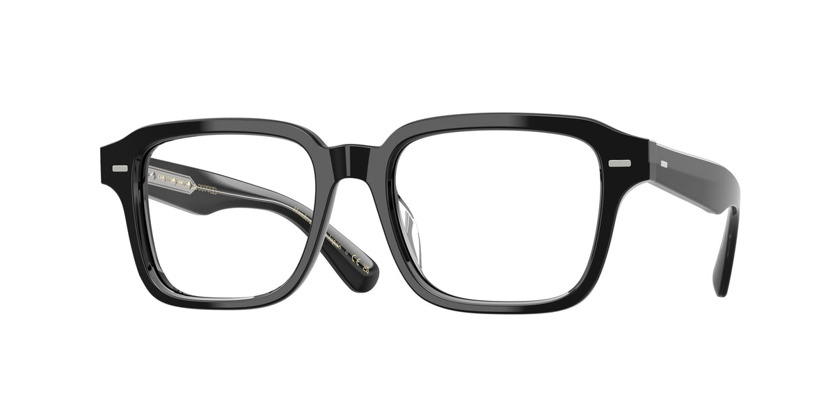 1731 - Black / Demo Lens