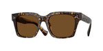 174157 - Atago Tortoise / True Brown Polar