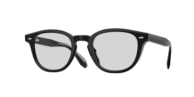 1731 - Black / Demo Lens Silver Mist