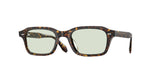 174121 - Atago Tortoise / Fern Wash To Dark Transitions®