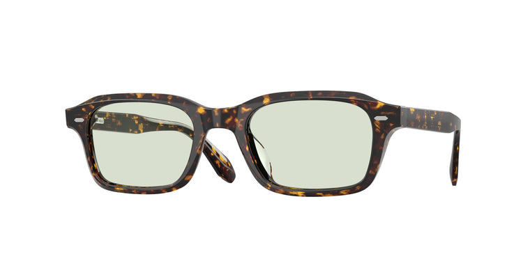 174121 - Atago Tortoise / Fern Wash To Dark Transitions®