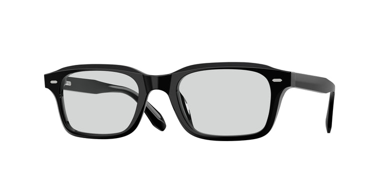 1731 - Black / Demo Lens Silver Mist