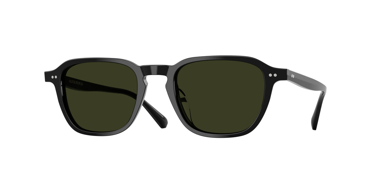 1731P1 - Black / G-15 Polarized
