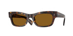 100953 - 362 / True Brown