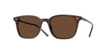 1818AN - Morado Tortoise / Terra Polarized