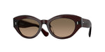 1817GN - Dark Sienna / Sandstone Gradient Polarized