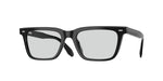1731 - Black / Demo Lens Silver Mist
