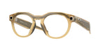 800208 - Light Curry / Transitions Brown