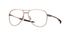 507703 - Satin Rose Gold / Demo Lens
