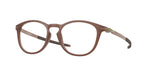 810527 - Transparent Mahogany / Demo Lens