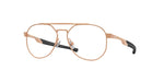 300404 - Satin Rose Gold / Demo Lens