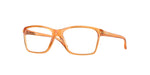 801009 - Polished Transparent Ginger / Demo Lens