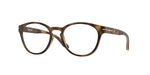 801702 - Satin Brown Tortoise / Transparent