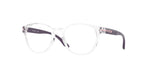 801706 - Polished Clear / Demo Lens